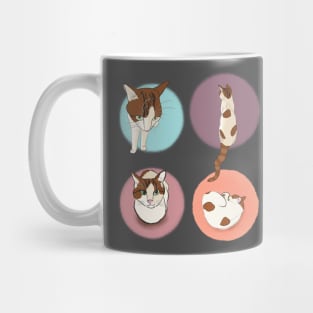 Soya compilation Mug